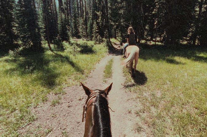 Guided Horseback Trail Rides - Booking and Flexibility: How to Secure Your Spot