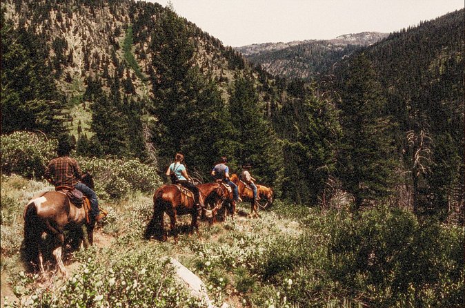 Guided Horseback Trail Rides - Who Will Most Enjoy This Idaho Trail Ride?
