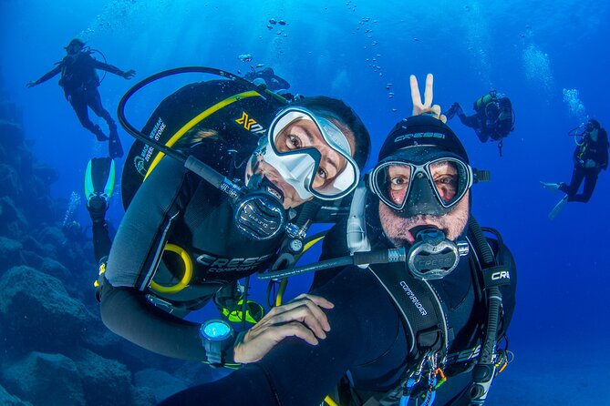 Guided Immersion from Santa Cruz de Tenerife - Explore Tenerife’s Underwater Paradise with Guided Immersion from Santa Cruz de Tenerife