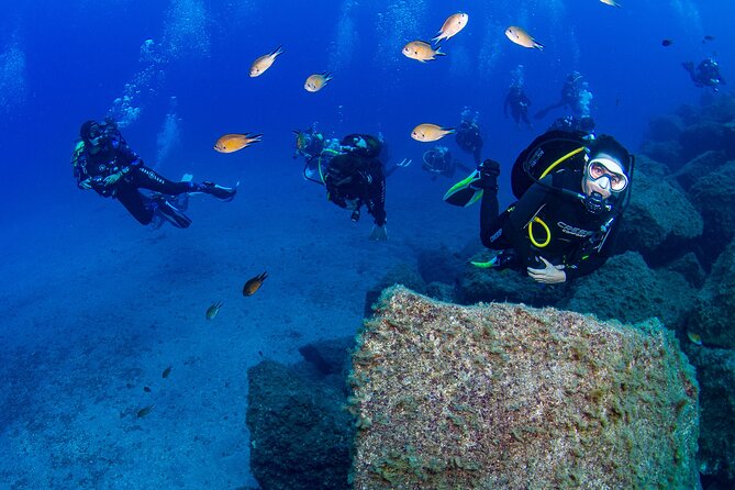 Guided Immersion from Santa Cruz de Tenerife - Key Points