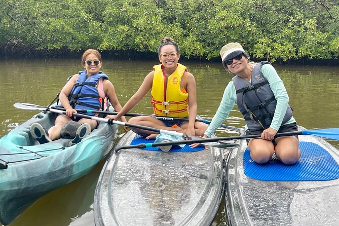 Guided Island EcoTour: CLEAR/Standard Kayak, SUP - Bonita Springs - Starting Point at Big Hickory Island in Bonita Springs