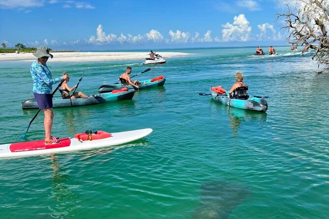 Guided Island EcoTour: CLEAR/Standard Kayak, SUP - Bonita Springs - Wildlife Encounters and Eco-Learning Opportunities