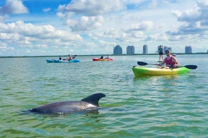 Guided Island EcoTour: CLEAR/Standard Kayak, SUP - Bonita Springs - Booking, Group Size, and Accessibility