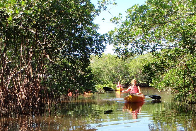 Guided Kayak Eco Tour - Bunche Beach - Physical Demands and Accessibility