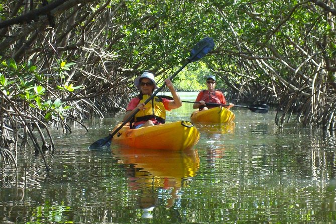 Guided Kayak Eco Tour - Bunche Beach - Weather Considerations and Cancellation Policies