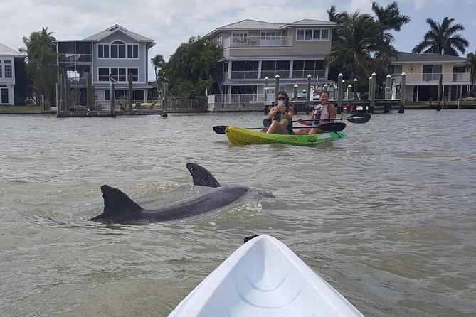 Guided Kayak Eco Tour - Bunche Beach - Why This Tour Stands Out in Fort Myers