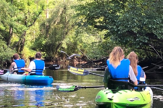 Guided Kayak Eco Tour: Real Florida Adventure - Key Points