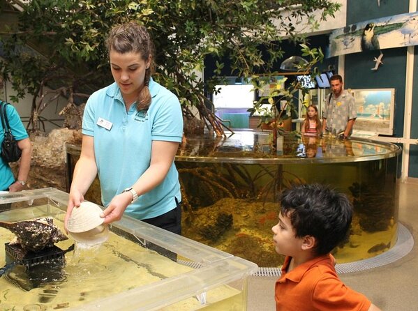 Guided Kayak Mangrove Ecotour in Rookery Bay Reserve, Naples - Key Points