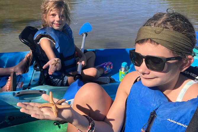 Guided Kayak Mangrove Ecotour in Rookery Bay Reserve, Naples - Physical Requirements and Accessibility