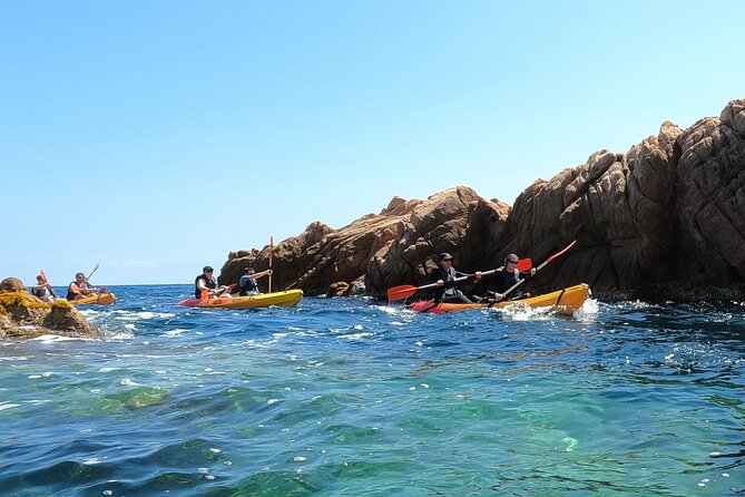 Guided Kayak & Snorkel tour to Costa Brava: Small Group and Lunch - Key Points