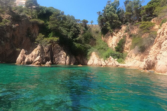Guided Kayak & Snorkel tour to Costa Brava: Small Group and Lunch - Physical Requirements and Suitability