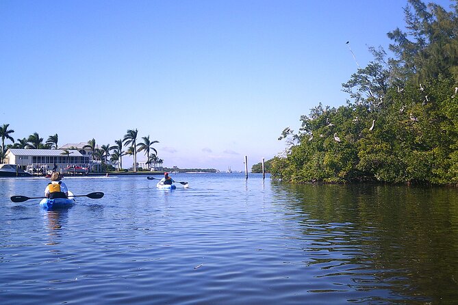 Guided Kayak Sunset Tour in Pelican Bay at Fort Myers Beach - Starting Point at Kayak Excursions Pelican Bay