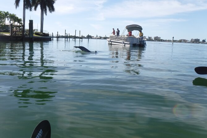 Guided Kayak Sunset Tour in Pelican Bay at Fort Myers Beach - Logistics and Practical Details
