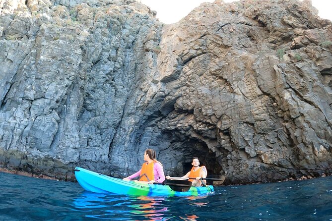 Guided Kayak Tour From Los Cristianos Beach Tenerife - Key Points