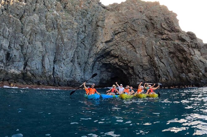 Guided Kayak Tour From Los Cristianos Beach Tenerife - Wildlife Encounters: Dolphins, Turtles, and Bird Watching