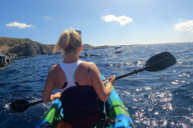 Guided Kayak Tour From Los Cristianos Beach Tenerife - Practical Details: Meeting Points, Group Size, and Accessibility