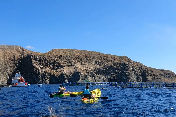 Guided Kayak Tour From Los Cristianos Beach Tenerife - Snorkeling and Wildlife Observation: Equipment and Techniques