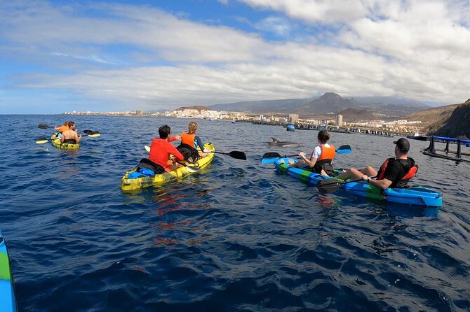 Guided Kayak Tour From Los Cristianos Beach Tenerife - Timing, Weather, and Cancellation Policy