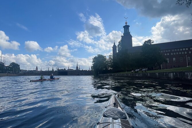 Guided Kayak Tour in Central Stockholm - The Guide’s Role in Enhancing the Experience