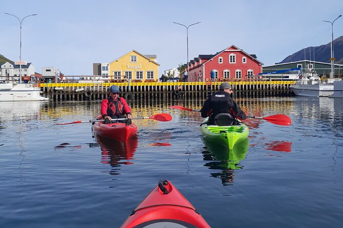 Guided kayak tour in Siglufjörður / Siglufjordur. - Key Points