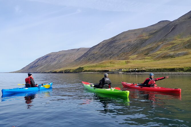 Guided kayak tour in Siglufjörður / Siglufjordur. - Equipment and Safety Gear You Can Rely On