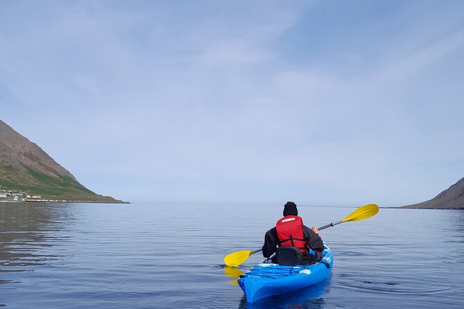 Guided kayak tour in Siglufjörður / Siglufjordur. - The Sum Up: A Calm and Scenic Icelandic Kayaking Experience