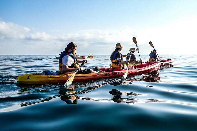 Guided Kayak Tour in St Paul's Island - Paddling Experience, Safety, and Physical Requirements