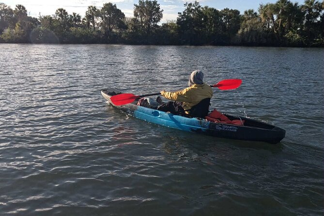 Guided Kayak Tour of Crystal Rivers Springs and Wildlife - Starting Point and Meeting Details in Crystal River