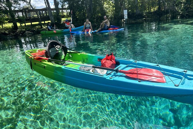 Guided Kayak Tour of Crystal Rivers Springs and Wildlife - Final Thoughts on the Guided Kayak Tour of Crystal Rivers Springs