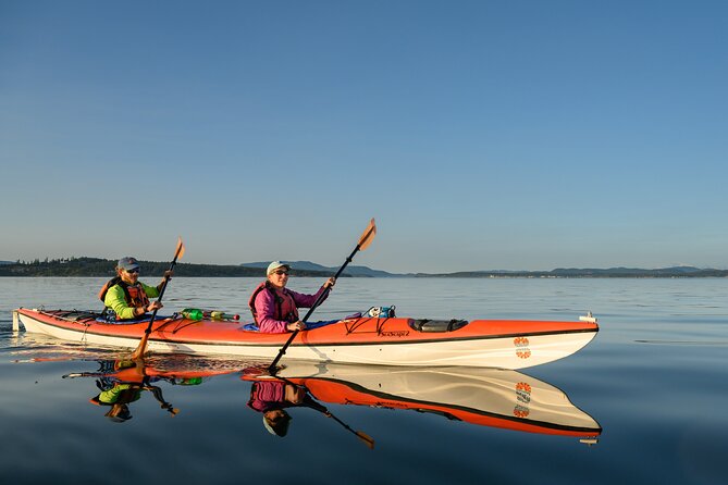 Guided Kayak Tour on San Juan Island - Discover the Guided Kayak Tour on San Juan Island