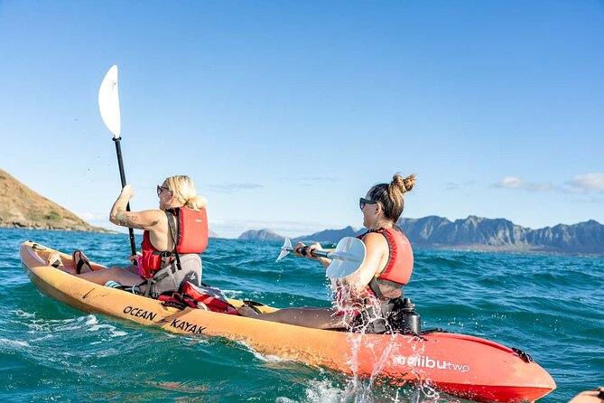 Guided Kayak Tour to Kailuas Twin Islands - Explore Kailua’s Twin Islands by Guided Kayak for $219