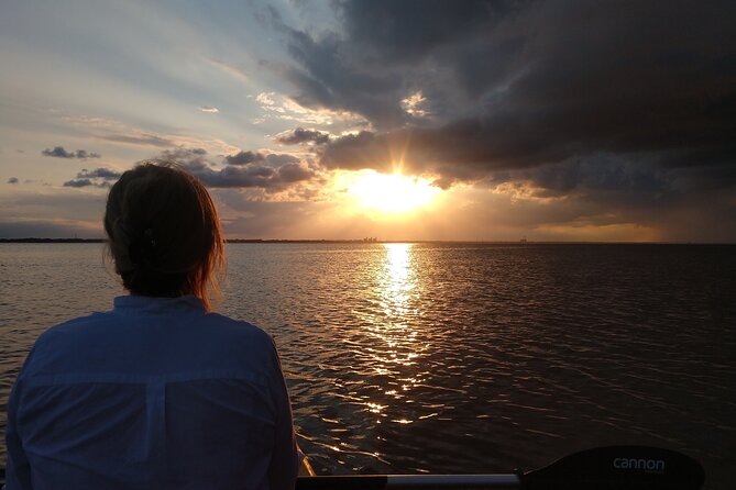 Guided Kayak Tour with Manatee & Dolphin Sightings - Key Points