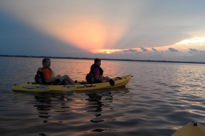 Guided Kayak Tour with Manatee & Dolphin Sightings - What to Expect During the Kayak Experience