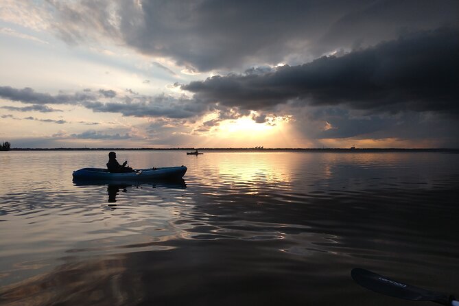 Guided Kayak Tour with Manatee & Dolphin Sightings - Scenic Estuaries and Wildlife Encounters