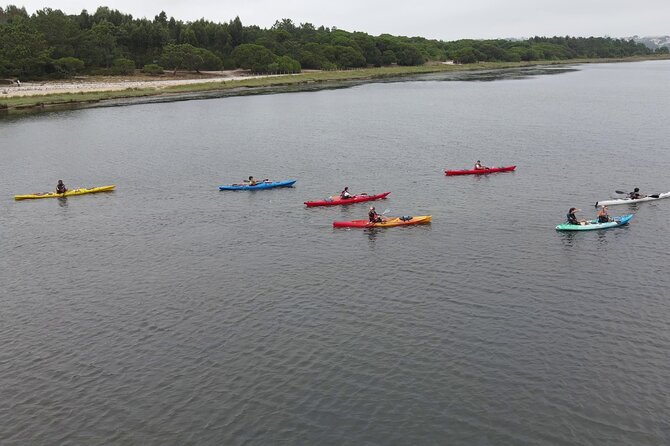 Guided Kayak Tours in the Óbidos lagoon - Guided Kayaking in the Óbidos Lagoon Offers a Personal Connection with Nature