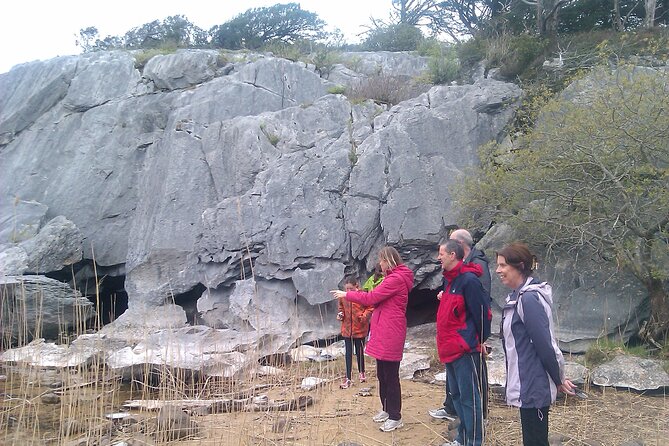 Guided Killarney National Park Walking Tour - What to Expect During the Walk