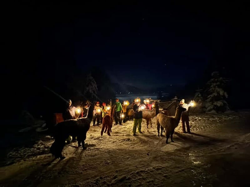 Guided llamawalk with a traditional, homemade cheesefondue - The Food Experience: Traditional Cheese Fondue