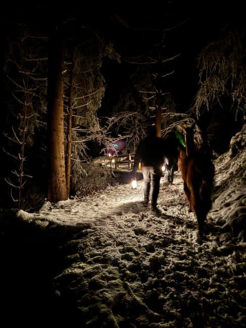 Guided llamawalk with a traditional, homemade cheesefondue - The Sum Up: A Charming Evening with Llamas and Cheese