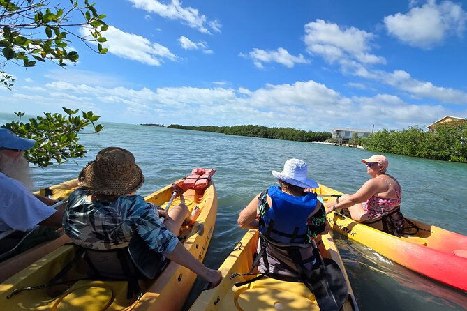 Guided Mangrove Eco Tours Kayak or Paddleboard Adventure - Starting Point and Convenient Pickup Service