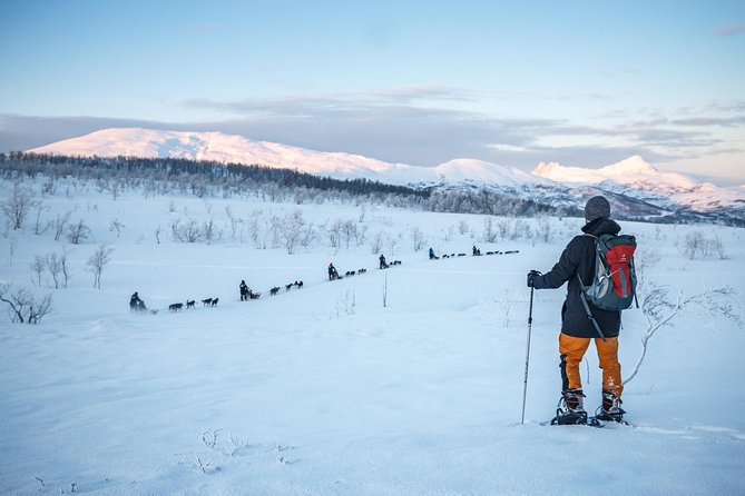 Guided Morning Snowshoe Hike with Huskies - Exploring Tromsø and Balsfjord from the Arctic Slope