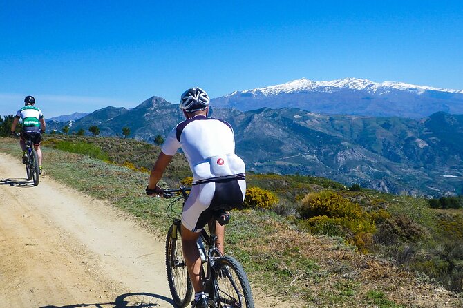 Guided Mountain Bike Adventure - Explore Malaga’s Stunning Mountain Biking Adventure for $109.86
