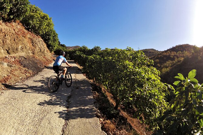 Guided Mountain Bike Adventure - Timing, Pacing, and Weather Considerations