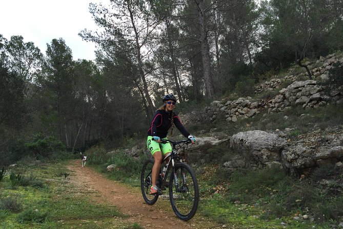Guided mountain bike route - "Pata Negra" Tour - The Quality of Bikes and Equipment