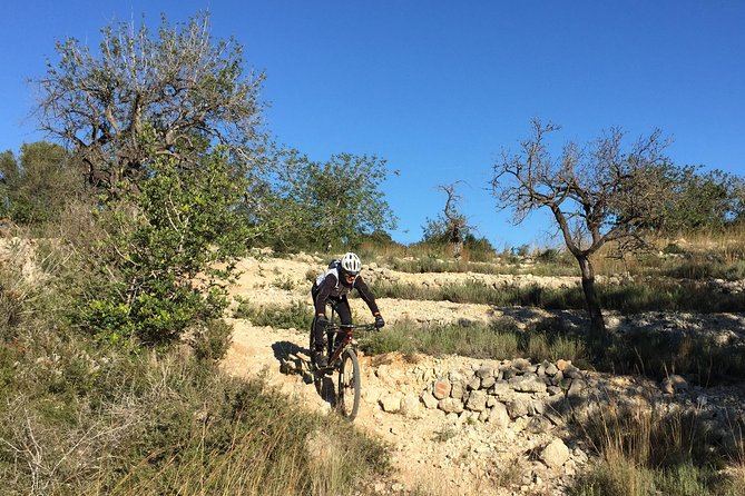 Guided mountain bike route - "Pata Negra" Tour - Physical Requirements and Suitability
