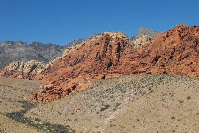 Guided Mountain Bike Tour of Mustang Trail in Red Rock Canyon - The Must-See Mustang Trail Single-Track