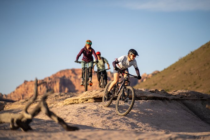 Guided Mountain Bike Tours - Zion - Exciting Guided Mountain Bike Adventure in Zion for All Skill Levels
