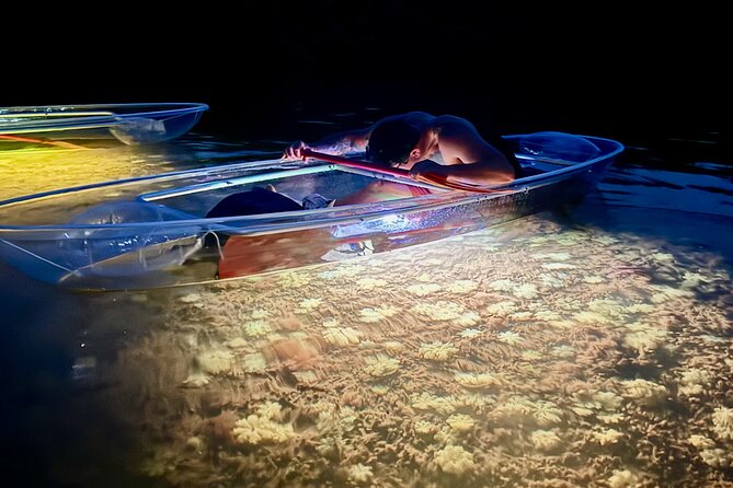 Guided Night Kayak Adventure Tour in Luminous Lagoon - Discover the Magic of Nighttime in Key West with LED-Lit Kayaks