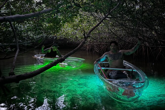 Guided Night Kayak Adventure Tour in Luminous Lagoon - Physical Requirements and Accessibility Considerations