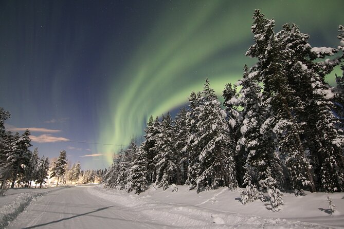 Guided Northern Lights Tour at Kiruna - Key Points