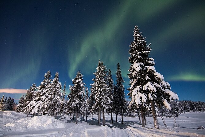 Guided Northern Lights Tour at Kiruna - How the Kiruna Northern Lights Tour Finds the Aurora